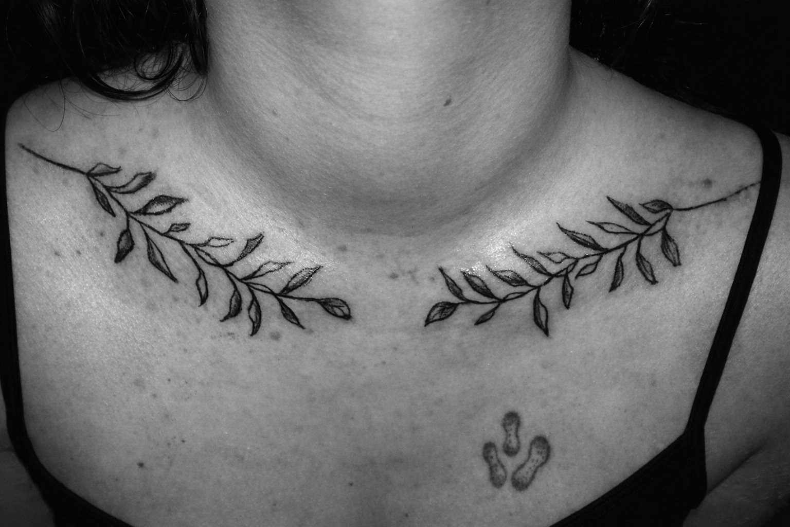 Clavicules