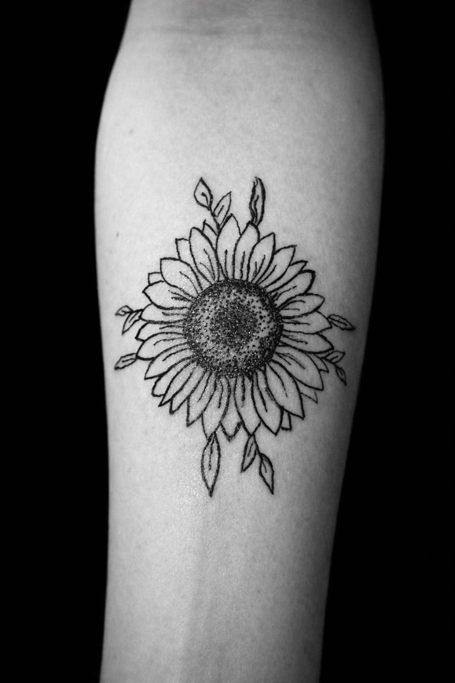 Tournesol